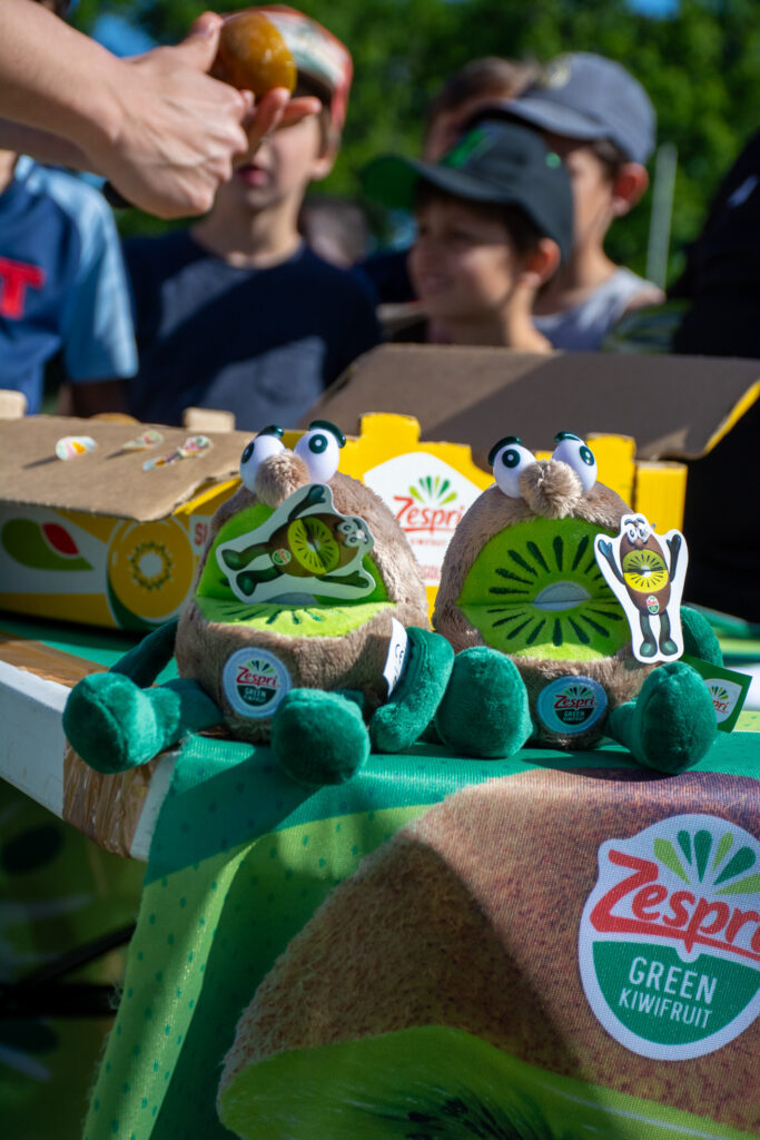 peluche zespri